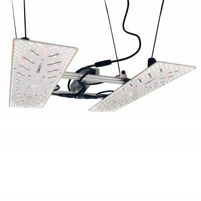 BloomStar Wingman 660L