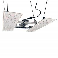 BloomStar Wingman 660L