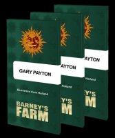 BF Gary Payton Fem. 3St.